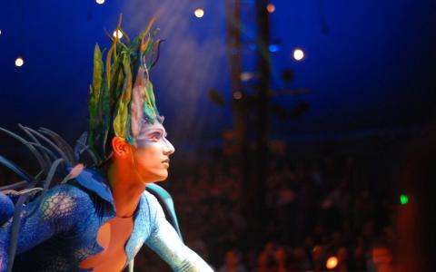 The Cirque du Soleil ; circus meets cinema